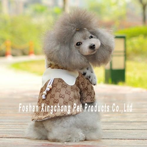 double layer warmly pet dog clothe with luxury collar 2
