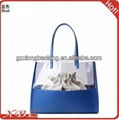 Candy color transparent jelly silicone bag 2013 1