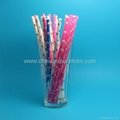2013 new prodcut  paper drinking straw 3