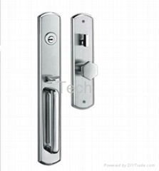 Luxury entrance door lock 