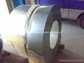 Stainless Steel Strip (409L)