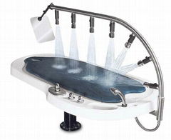 2012,Most popular Vicky shower beauty equipment