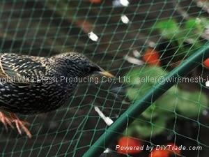 Anti-bird Netting