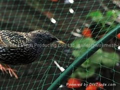 Anti-bird Netting