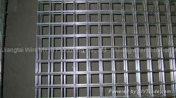 Welded Wire Mesh 2