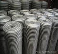 Welded Wire Mesh 4