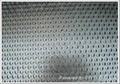 Perforated Metal Mesh 1