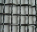 Crimped Wire Mesh