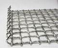 Crimped Wire Mesh 2