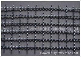 Crimped Wire Mesh 5