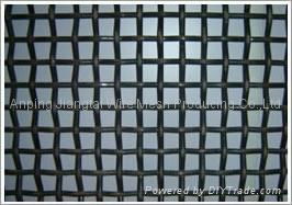 Crimped Wire Mesh 4