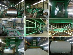 ppgi steel coils