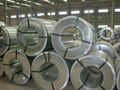 color coated steel coils PPGI 5