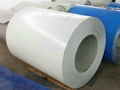 China PPGI supplier, prepainted steel coils 4