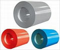 coated ppgi steel coils 5