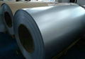 color painted ppgi steel coil 4