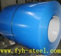 pre painted ppgi steel coils 4