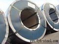 prepainted galvanized steel coils manufacturer 5
