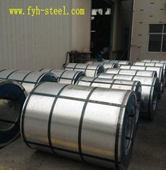 ppgi prepainted galvanized steel coils