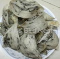 Wholesale bird's nest raw materials 1