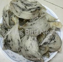 Wholesale bird's nest raw materials