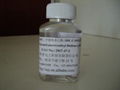 Dimethylaminoethyl methacrylate(DM or