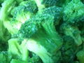 frozen  broccoli  2