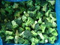 frozen  broccoli  3