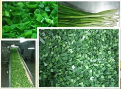 frozen spring onion 