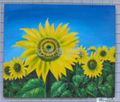 oil paingtings sunflower 1