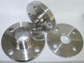 Stainless Steel Flange