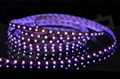 紫色LED灯带 3