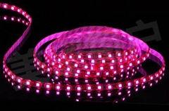 粉紅LED燈帶