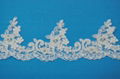 Embroidery Lace Trimming  Tulle Fabric 5