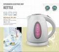 Speediness electric hot kettle