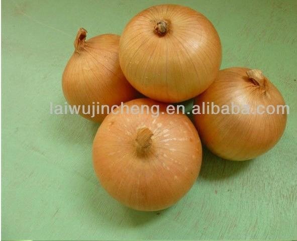 Fresh Onion 3