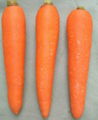 Fresh carrot 2