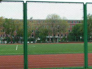 offer diamond wire mesh,Chain link fence,expanded metal mesh 2