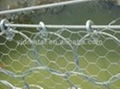 Hexagonal Wire Mesh 1