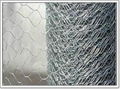 Hexagonal Wire Mesh 4