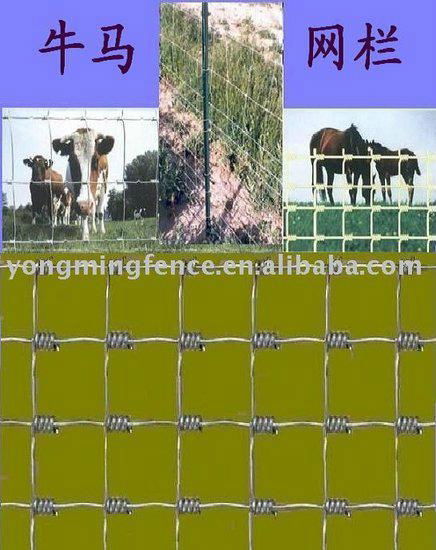 Gabion,hexagonal wire mesh 2