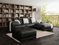 New design sofa 1