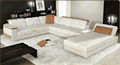 New design leather sofa