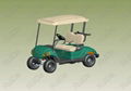 2-seat Golf Cart 1