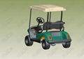 2-seat Golf Cart 2