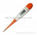 Flexible Digital Thermometer