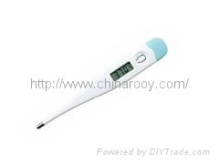 Digital Thermometer