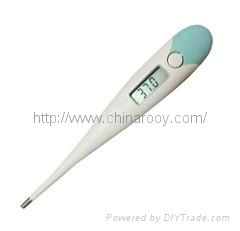 Digital Thermometer 