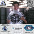 electro galvanized iron wire