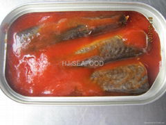 Canned mackerel